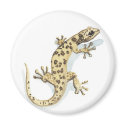 Reptile magnet by Elle_Ichai Reptile magnet