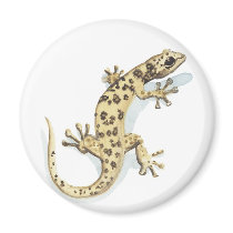 Reptile magnet by Elle_Ichai Reptile magnet