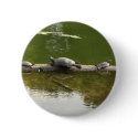reptile merchandise buttons by denvercris reptile merchandise buttons