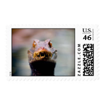 reptile postage by davidalmeda reptile postage