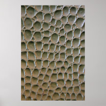 Reptile skin print