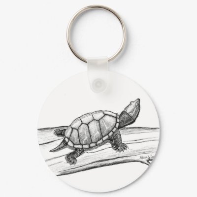 Reptile / Turtle /Stinkpot Turtle Key Chain by moxieann
