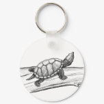 Reptile / Turtle /Stinkpot Turtle