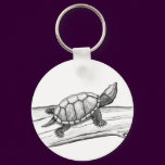 Reptile / Turtle /Stinkpot Turtle