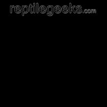Reptilegeeks t-shirts by reptilegeeks Reptilegeeks t-shirts