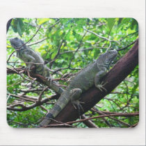 Reptilian Repose mousepads