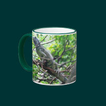 Reptilian Repose mugs
