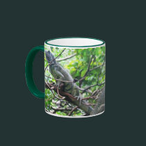 Reptilian Repose mugs