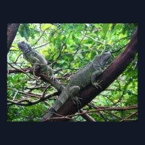 Reptilian Repose posters by iggymak Reptilian Repose posters