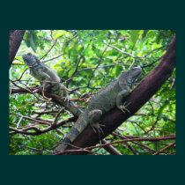 Reptilian Repose posters