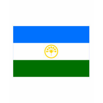 Republic of Bashkortostan Flag t-shirts