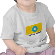 Republic of Kalmykia Flag t-shirts