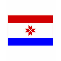 Republic of Mordovia Flag t-shirts