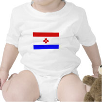 Republic of Mordovia Flag t-shirts