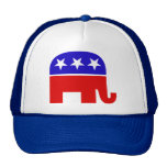 Republican Elephant Hat