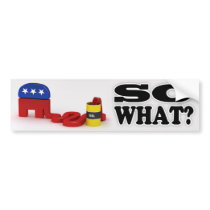 Republican so what bumper sticker