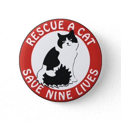 Rescue a Cat, Save Nine Lives Pinback Button