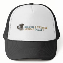 Rescue a Shelter Animal Today hats