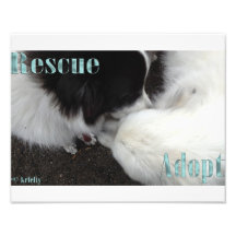 Rescue and Adopt! Photo Print
