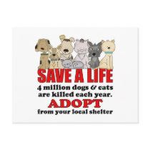 Rescue Animals Post Cards