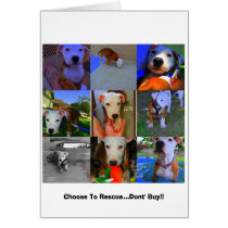 Rescue Cards.. by kawieesaki Rescue Cards..