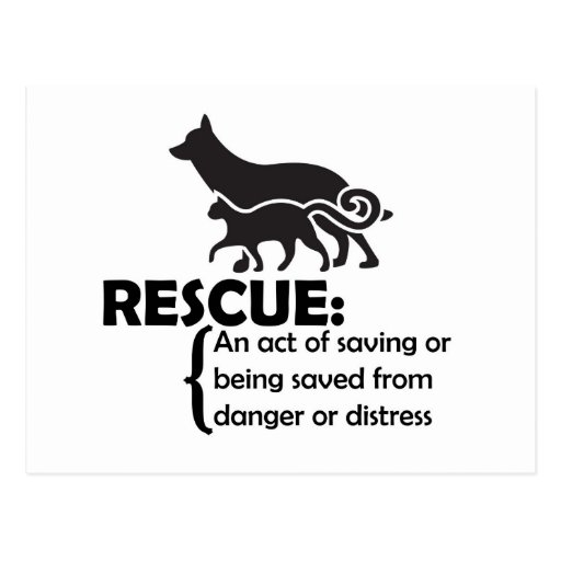 rescue-definition-postcard-zazzle