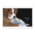 Rescue Dog Buddy: Missing You postcards