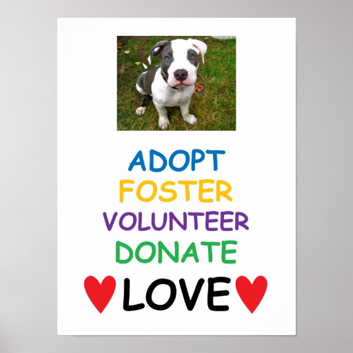 Rescue Dog Poster, Adopt Love Poster Zazzle