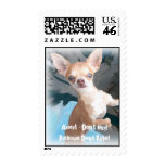 Rescue Dogs Rule! postage