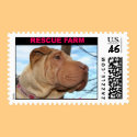 Rescue Farm Sharpei Stamp by rfstuff Rescue Farm Sharpei Stamp
