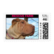 Rescue Farm Sharpei Stamp by rfstuff Rescue Farm Sharpei Stamp