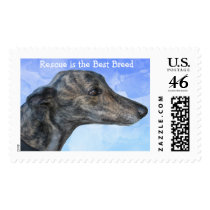Rescue Greyhound Stamps stamps