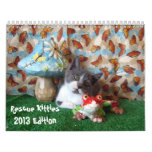 Rescue Kitties Calendar - New for 2013!