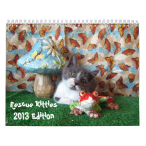 Rescue Kitties Calendar - New for 2013! calendars