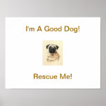 Rescue Me Chinese Pug Poster