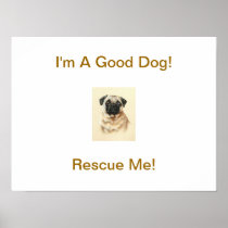 Rescue Me Chinese Pug Poster