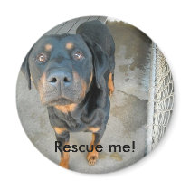 Rescue me! magnet