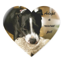 Rescue Pet Adoption Heart Sticker