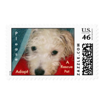 Rescue Pet Stamp