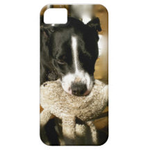 Rescue Pet Sweet Bully Breed Dog iPhone 5 Cover