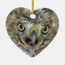 Rescued and Released Hawk Christmas Ornament