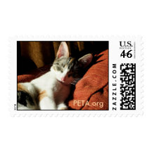 Rescued Cat Stamp