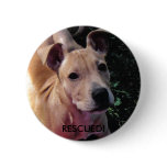 RESCUED! dog button