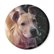 RESCUED! dog magnet