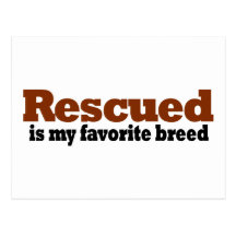 Rescued Is My Favorite Breed Post Card