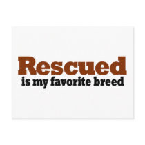 Rescued Is My Favorite Breed Post Card