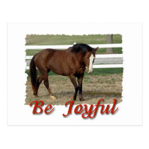 Rescued Morgan Horse:  Be Joyful Postcard