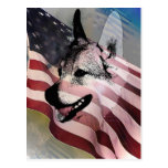 Rescued Pets and Vets Post Cards