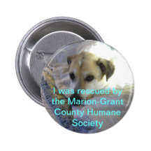 Rescued Pets Pin