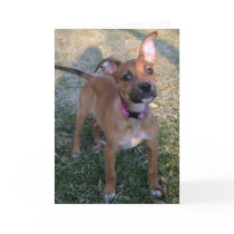 Rescued puppy greeting card
